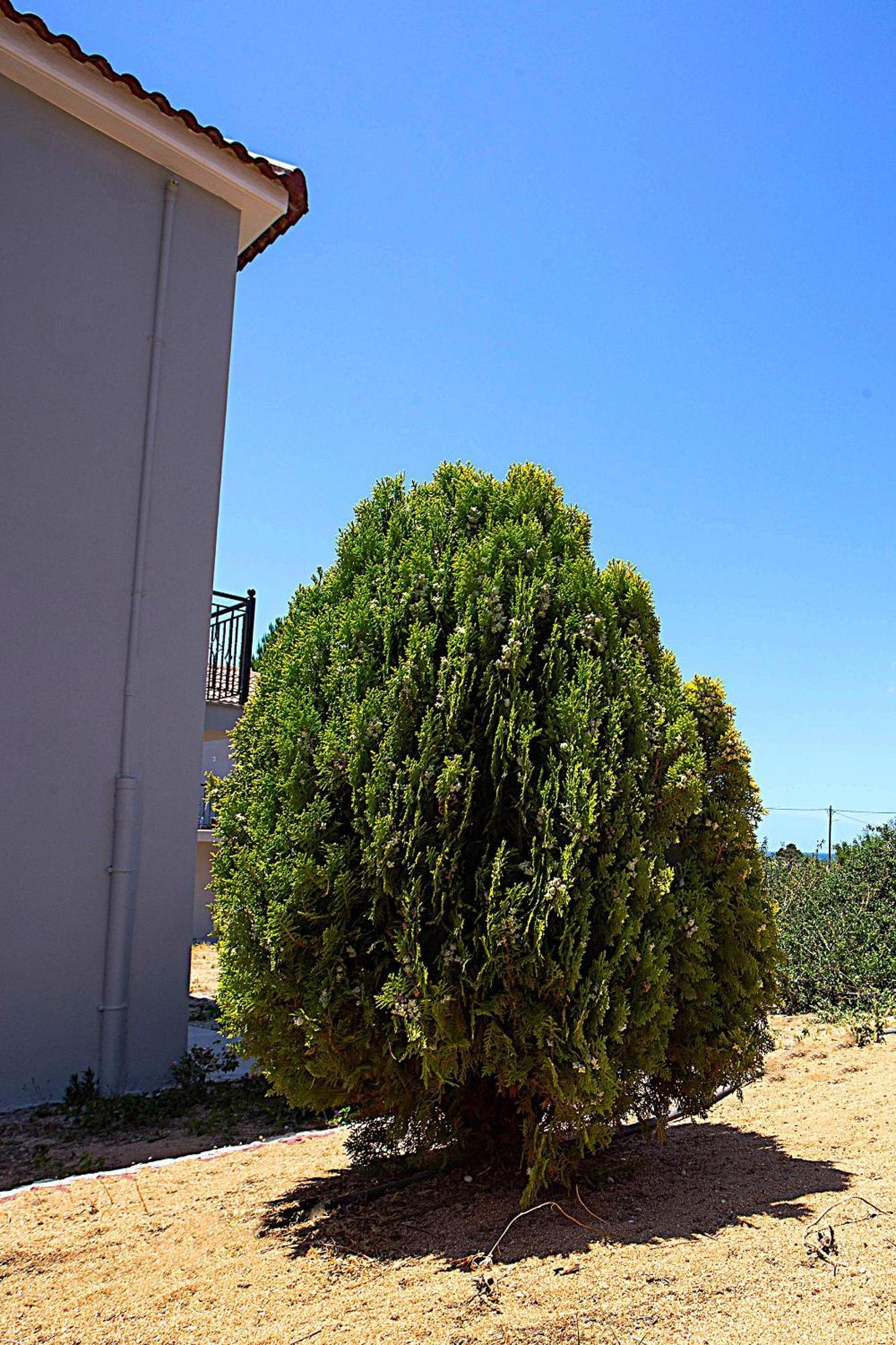Romanos Beach Villas Dış mekan fotoğraf